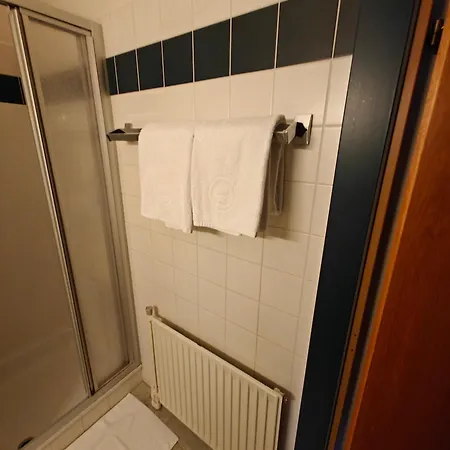 Stadthotel 호텔 3*